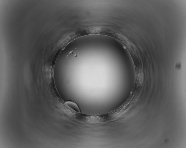 X0000100380525200806061221