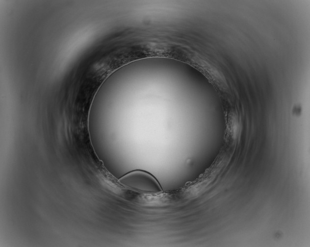 X0000100380526200806061221