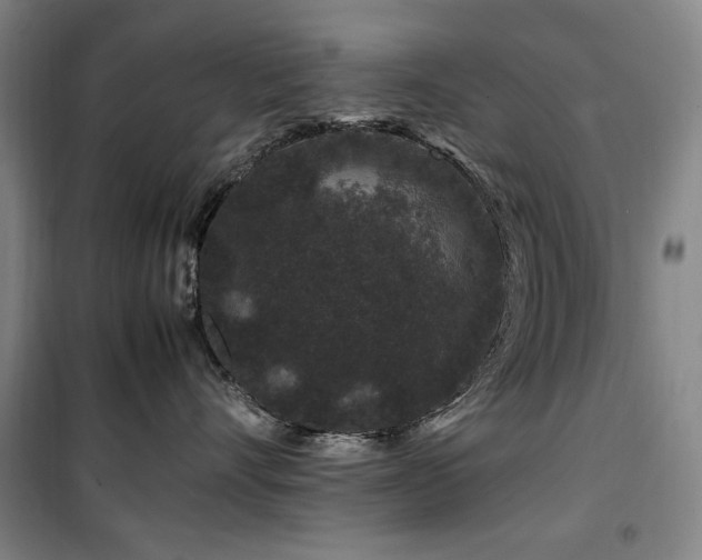 X0000100380528200806061221