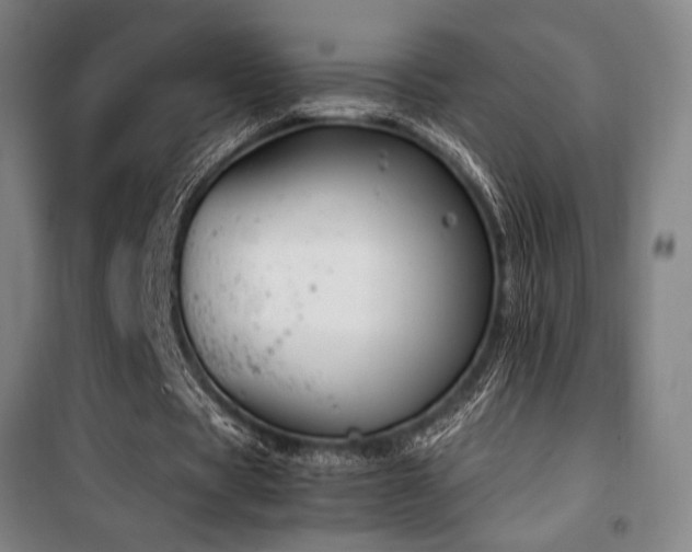 X0000100380529200806061220