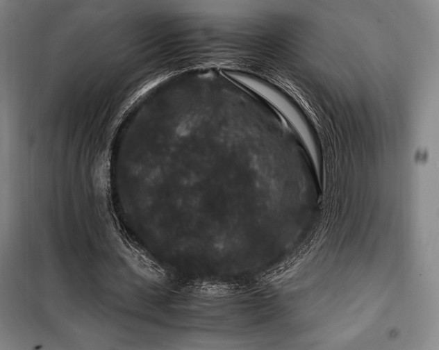X0000100380531200806061220