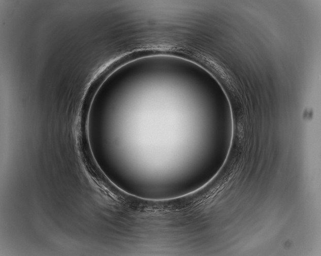 X0000100380532200806061220