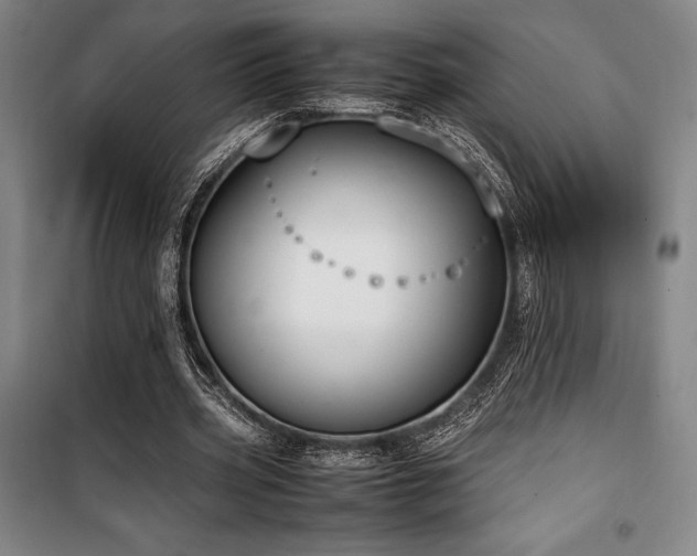 X0000100380533200806061221