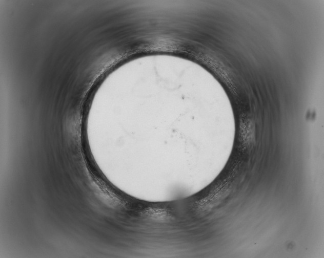 X0000100380534200806061221