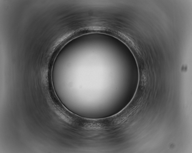 X0000100380535200806061221