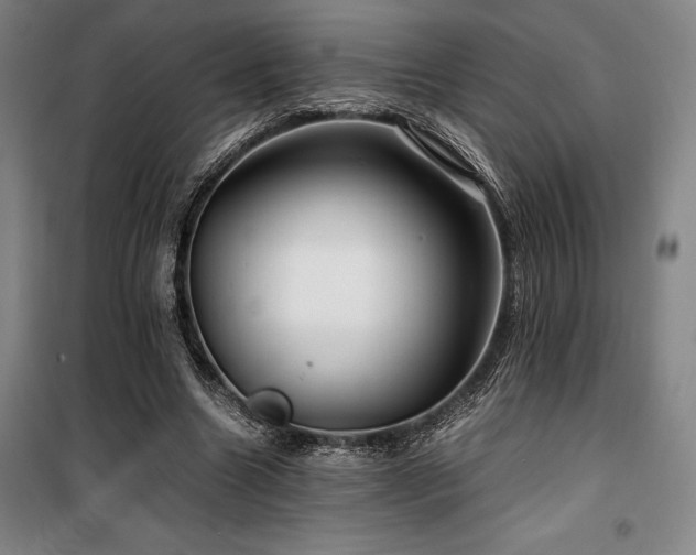X0000100380538200806061221