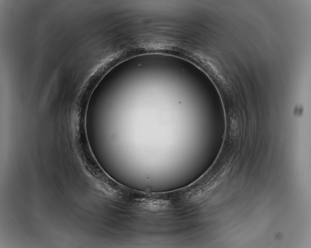 X0000100380539200806061221