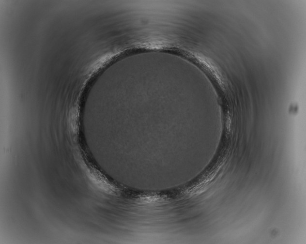 X0000100380540200806061221