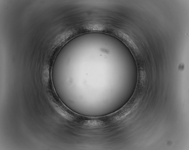 X0000100380541200806061221