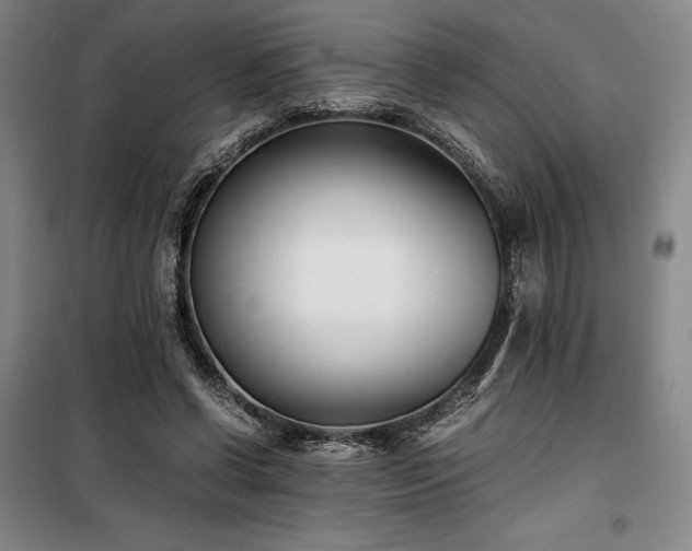 X0000100380542200806061221
