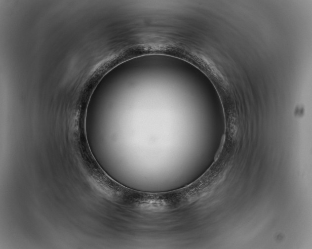 X0000100380543200806061221