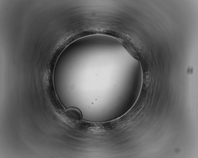 X0000100380544200806061221