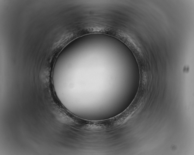 X0000100380545200806061221
