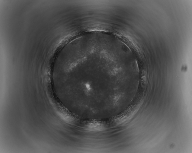 X0000100380547200806061221