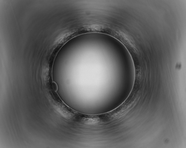 X0000100380548200806061221