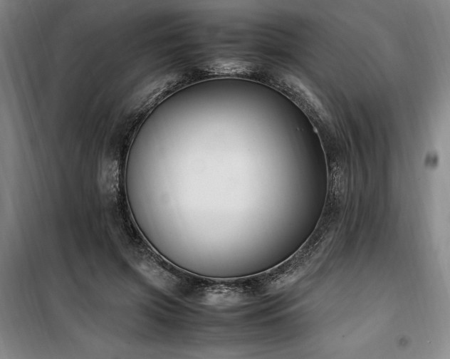X0000100380549200806061221