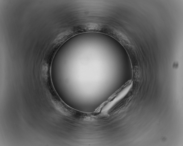 X0000100380550200806061221