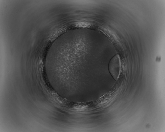 X0000100380551200806061221