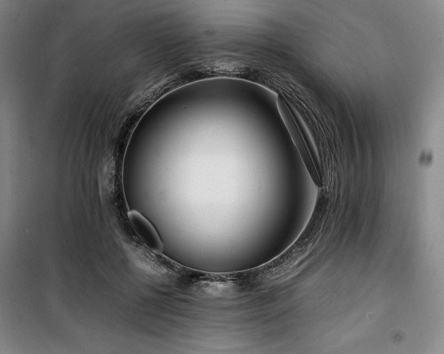 X0000100380552200806061221