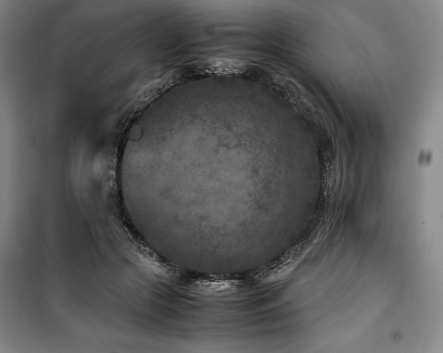 X0000100380553200806061221