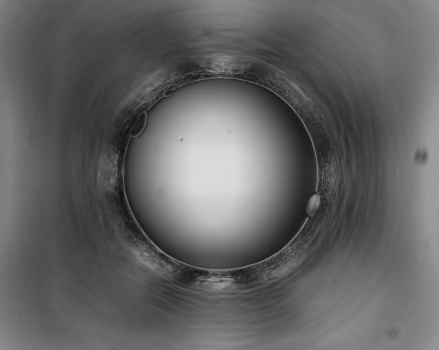 X0000100380554200806061221