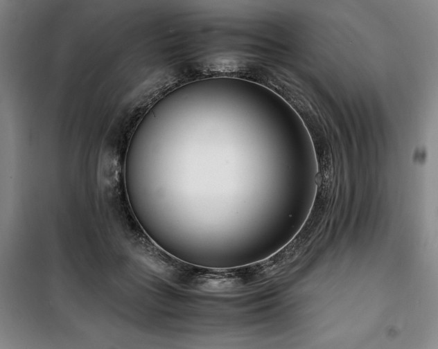 X0000100380555200806061221