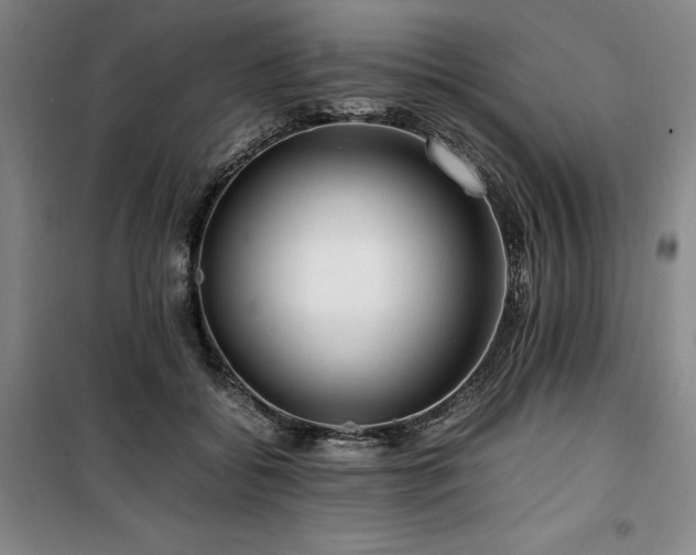 X0000100380556200806061221