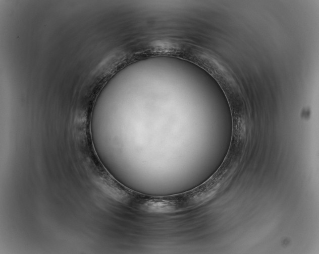 X0000100380557200806061221