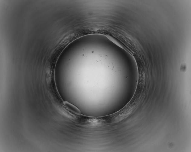 X0000100380558200806061221