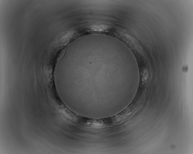X0000100380559200806061221