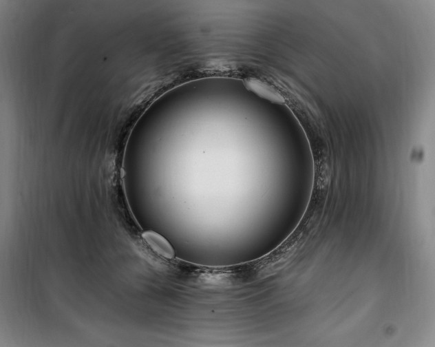 X0000100380560200806061221