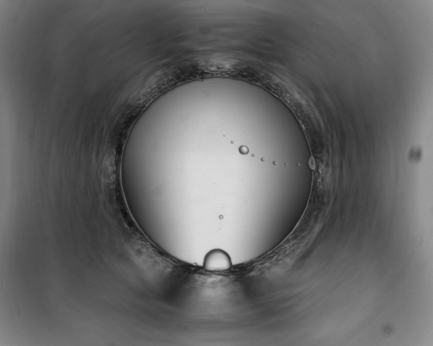 X0000100380561200806061221