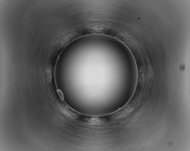 X0000100380562200806061221