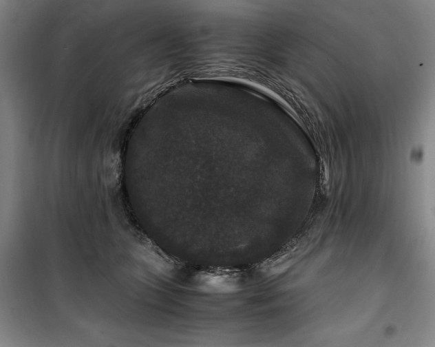 X0000100380563200806061221