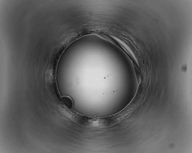 X0000100380564200806061221