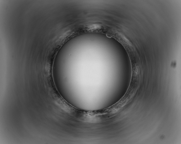 X0000100380565200806061221