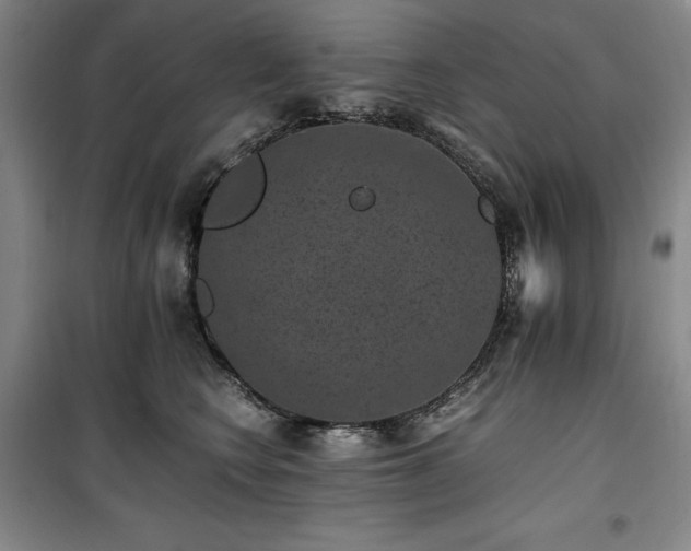 X0000100380566200806061221