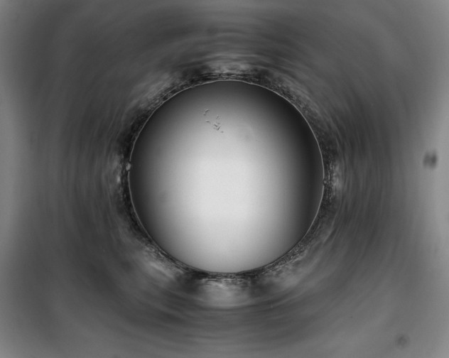 X0000100380567200806061221