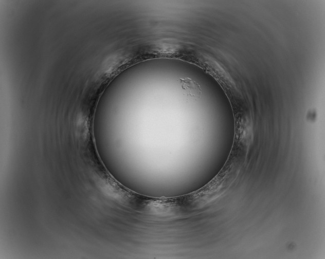 X0000100380568200806061221
