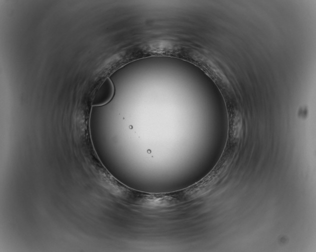 X0000100380569200806061221