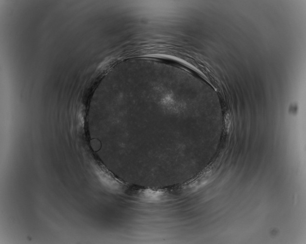 X0000100380570200806061221