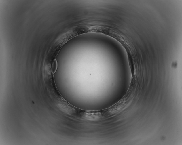 X0000100380571200806061221