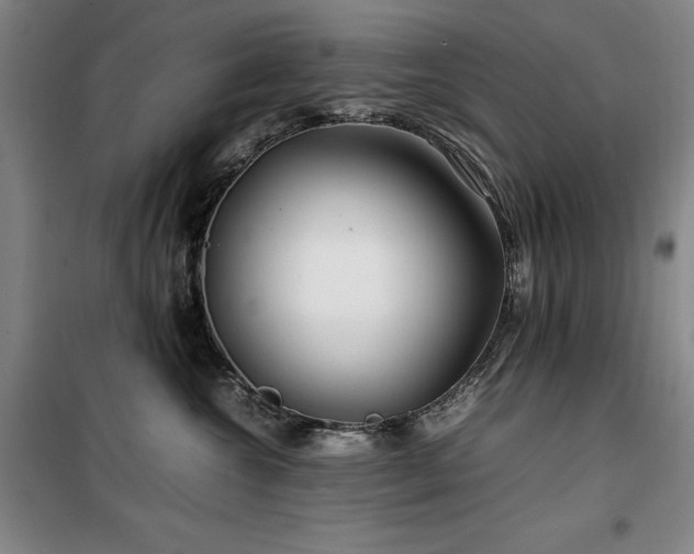 X0000100380572200806061221