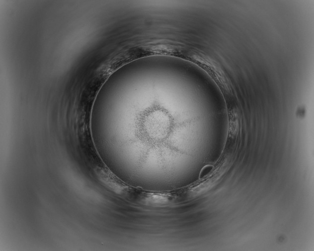 X0000100380573200806061221