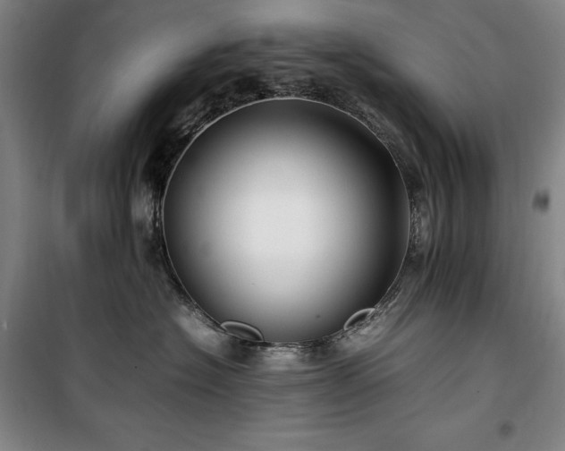 X0000100380574200806061221