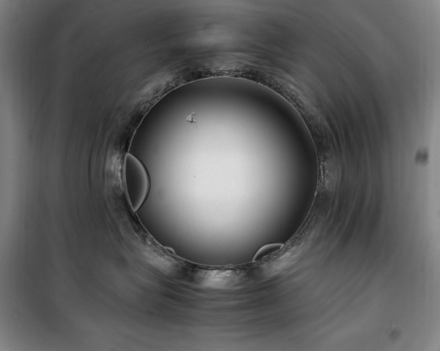 X0000100380575200806061221