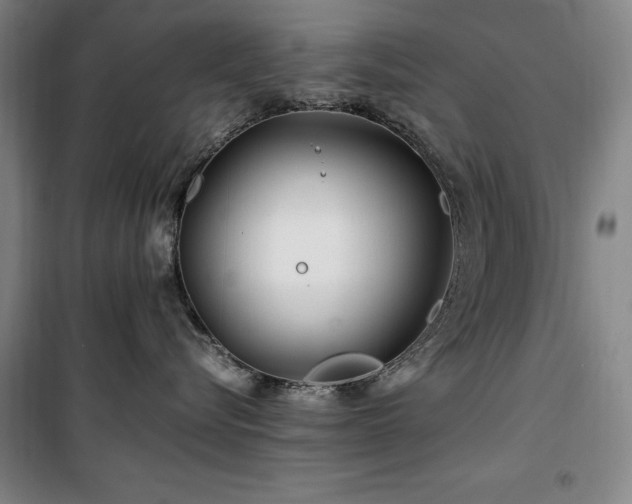X0000100380576200806061221