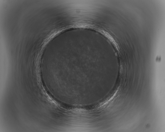 X0000100380577200806061220