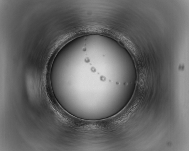 X0000100380578200806061220