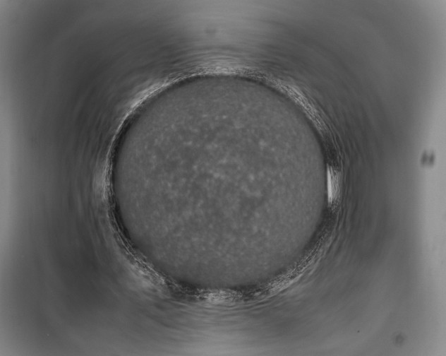 X0000100380579200806061220